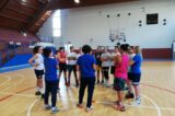 Gli atleti azzurri del basket e della pallavolo iniziano gli allenamenti al raduno multisportivo di Varese Gli atleti azzurri del basket e della pallavolo iniziano gli allenamenti al raduno multisportivo di Varese